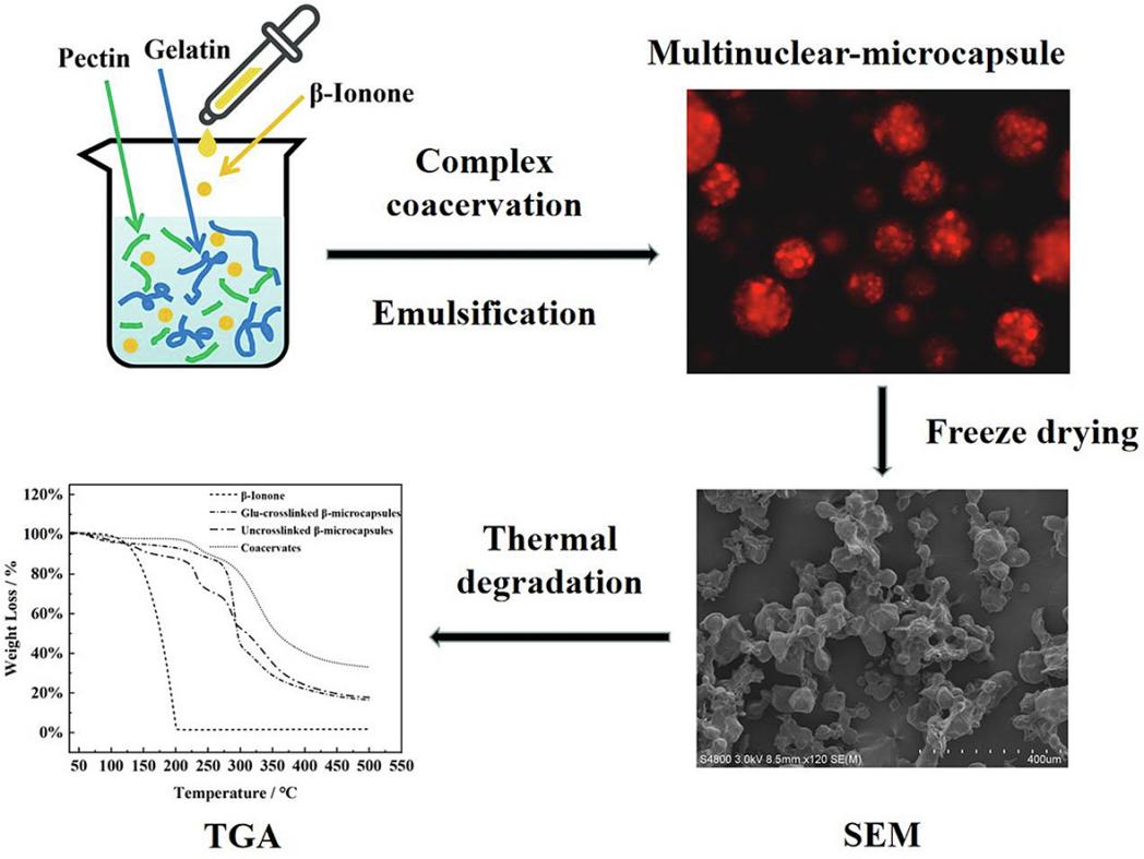 β-Ionone: Microencapsulation for Controlled Release and Anticancer Applications