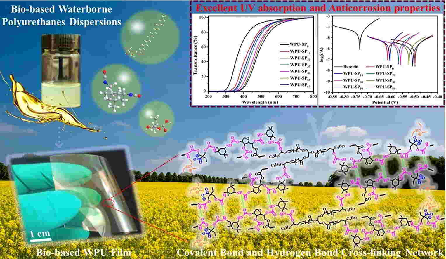 Sorbitan Monooleate (SP) as a Bio-Based Polyol for the Development of UV-Resistant and Corrosion-Resistant Waterborne Polyurethane