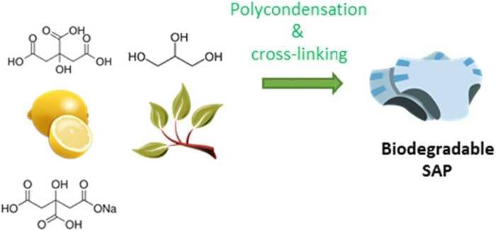 Monosodium Citrate Used for the Preparation of Fully Bio-Based Biodegradable Superabsorbent Polymers