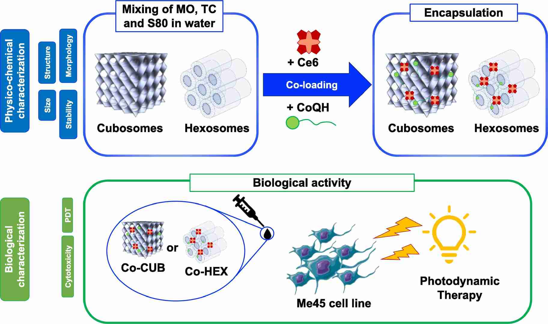 Span 80 as a Stabilizer in the Formulation of Monoolein-Based Cubosomes and Hexosomes for Photodynamic Therapy