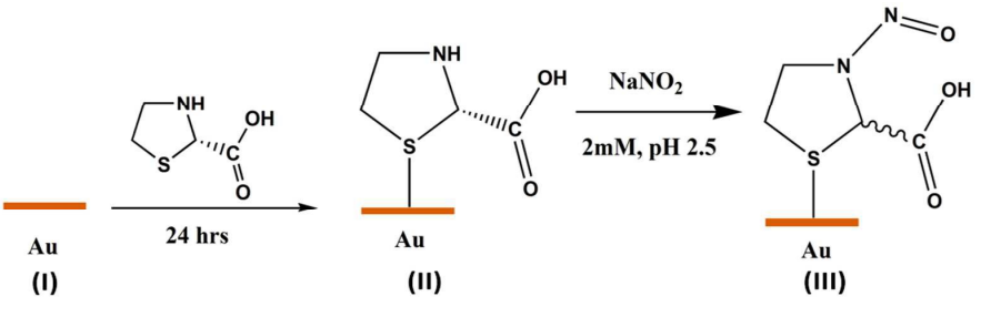 L-Thioproline for Self-Assembled Monolayers on Gold Surfaces and Nanoparticles