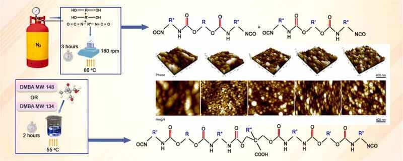 Polyoxyethylene Tridecyl Ether Used for the Emulsification of Waterborne Polyurethane with Biomedical Applications