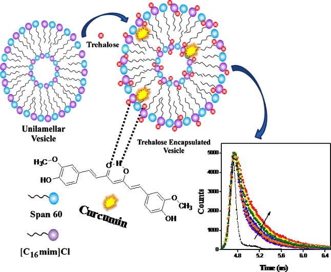 Sorbitan Stearate Is Used for the Preparation of Ionic Liquid-Based Vesicles for Curcumin Encapsulation and Photophysical Modulation
