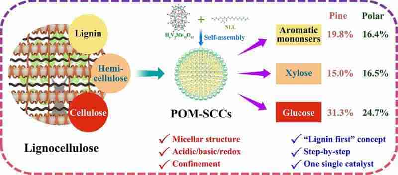 N-Lauroyl-L-lysine Used for the Synthesis of Triple-Functional Molecular Polyoxometalate Catalysts