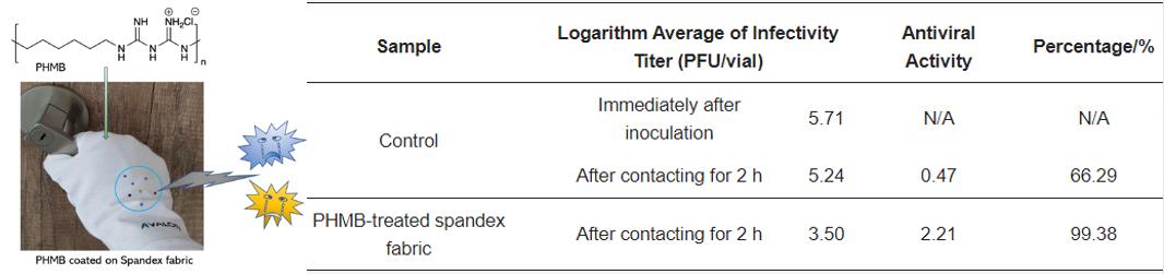 Development of Antiviral Spandex Fabric Coated with Polyhexamethylene Biguanide Hydrochloride (PHMB)