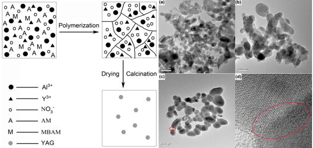Low-temperature Synthesis of YAG Nanopowders by Polyacrylamide Gel Method