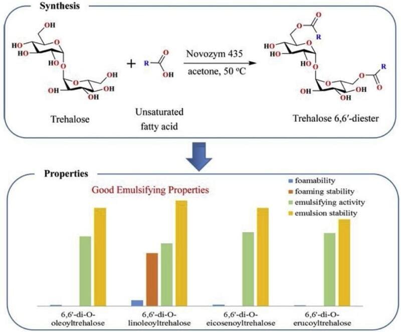 Preparation of Trehalose Unsaturated Fatty Acid Diesters Using Trehalose