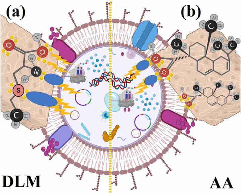 DL-Methionine Used for the Preparation of Antimicrobial and Corrosion-Resistant Coatings via Electron Beam Irradiation