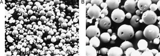 Sucrose Palmitate as a Stabilizer in the Formulation of Rifampicin-Loaded PLGA Microspheres for Inhalable Tuberculosis Treatment