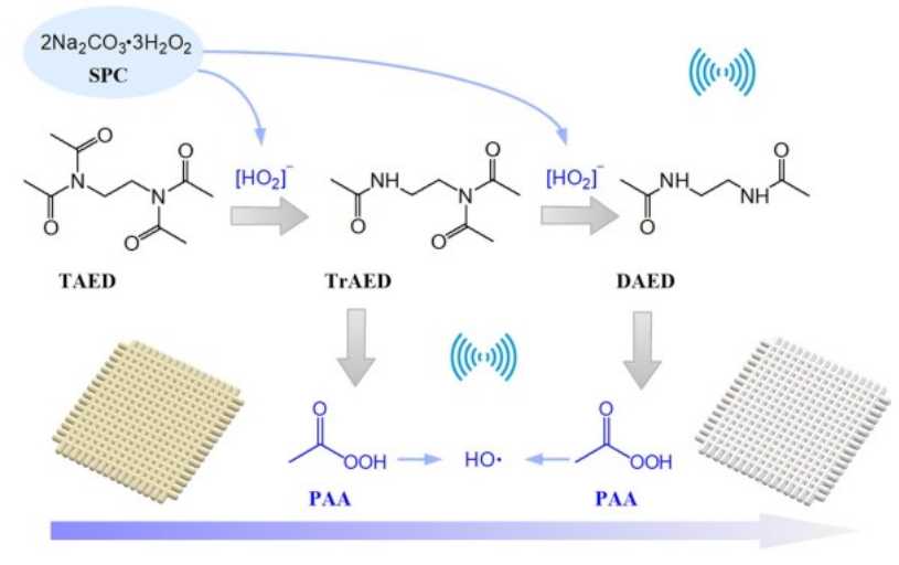 Tetraacetylethylenediamine (TAED) in Ultrasound-Assisted Scouring and Bleaching of Cotton/Spandex Fabrics