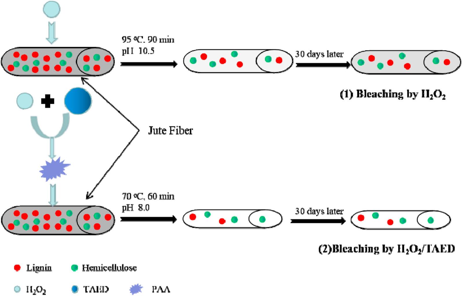 Tetraacetylethylenediamine (TAED) Activated Hydrogen Peroxide for Enhanced