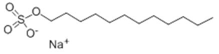 The Structure of Sodium Dodecyl Sulfates