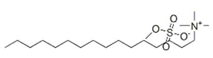 The Structure of Cetyltrimethylammonium Methyl Sulfate